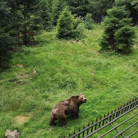 شقة Ferienwohnung Ziegelfeld غرافناو
